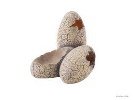 Exo-Terra Dinosaur Egg Hide - Dinoszaurusz tojás bújó hüllők részére (15cm)