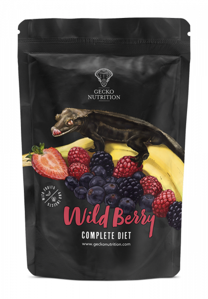 Gecko Nutrition Erdeigyümölcs-Banán 100g